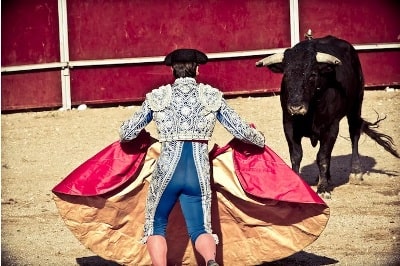 Bull Riding Tournaments: The Ultimate Guide to the High-Octane Sport